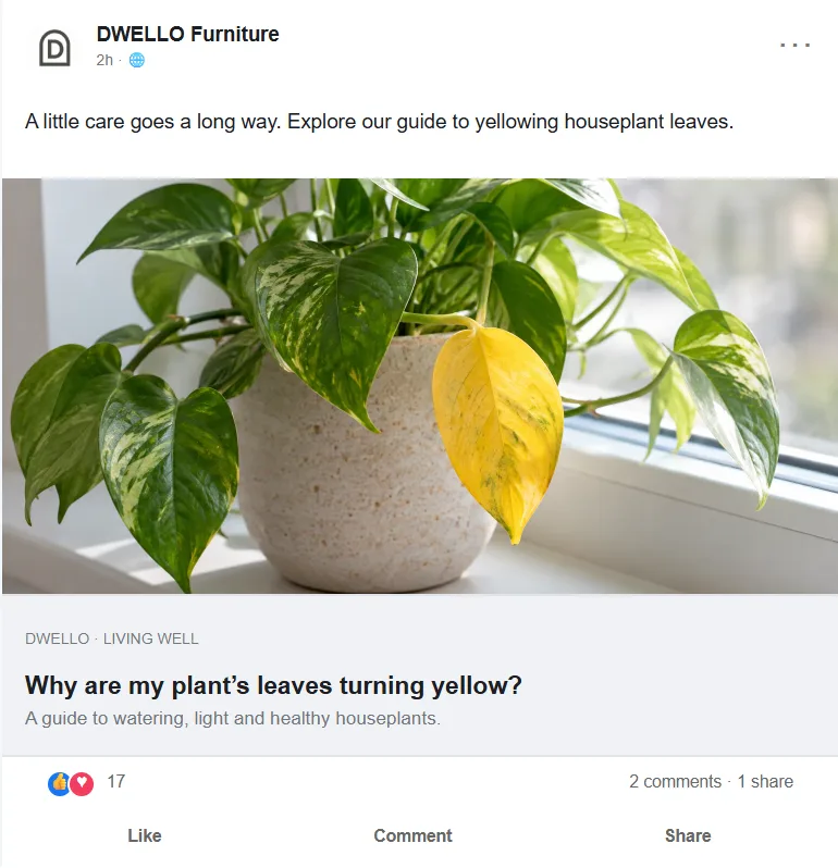 Before: A post titled “Why are my plant’s leaves turning yellow?”. After: A post with a close-up of a yellow leaf: “Yellow leaves? Find out why.”.